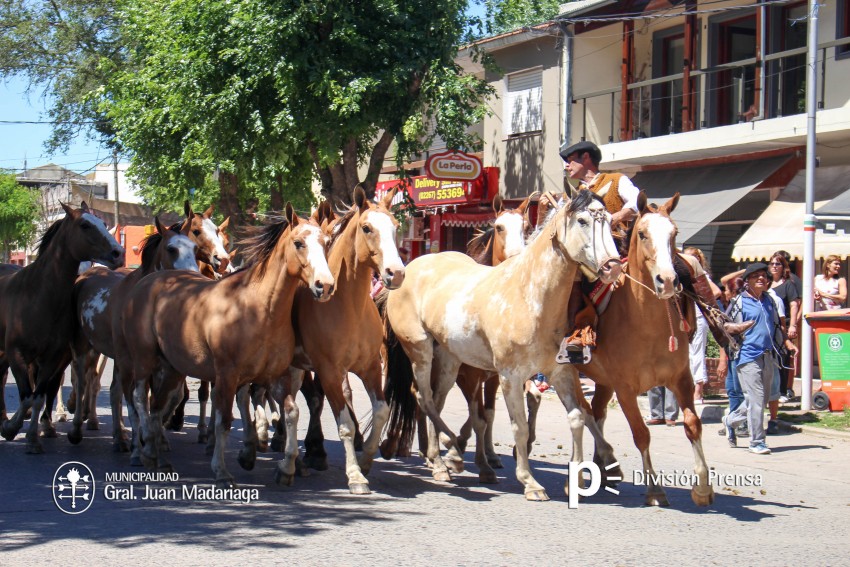 Las mejores fotos del desfile de gala de la Fiesta Nacional del Gaucho