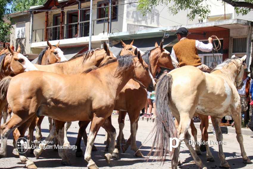 Las mejores fotos del desfile de gala de la Fiesta Nacional del Gaucho