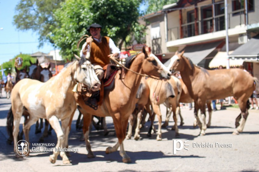 Las mejores fotos del desfile de gala de la Fiesta Nacional del Gaucho