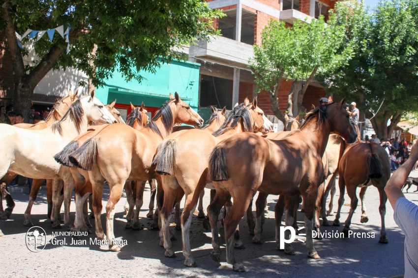 Las mejores fotos del desfile de gala de la Fiesta Nacional del Gaucho