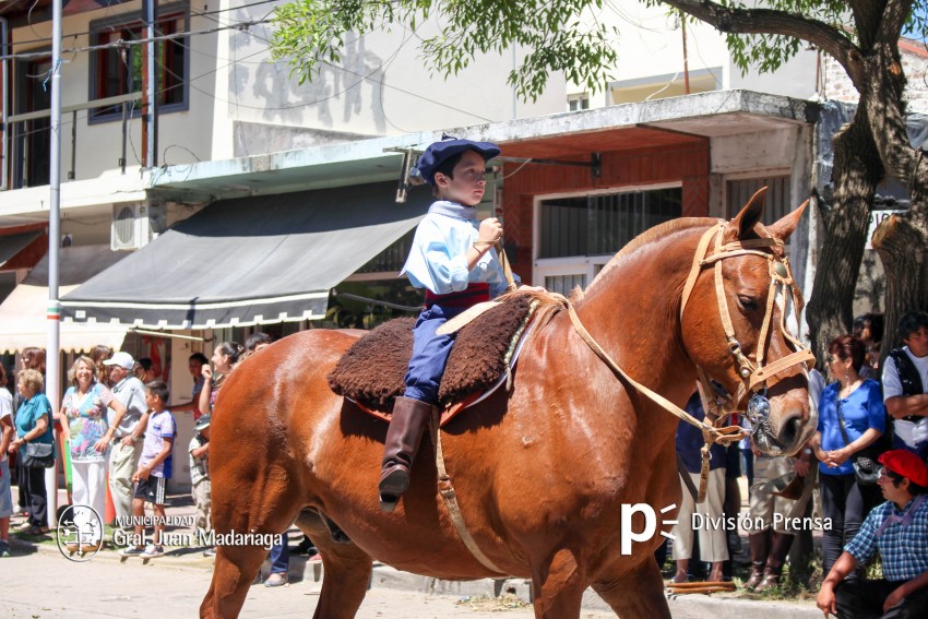 Las mejores fotos del desfile de gala de la Fiesta Nacional del Gaucho