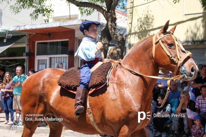 Las mejores fotos del desfile de gala de la Fiesta Nacional del Gaucho