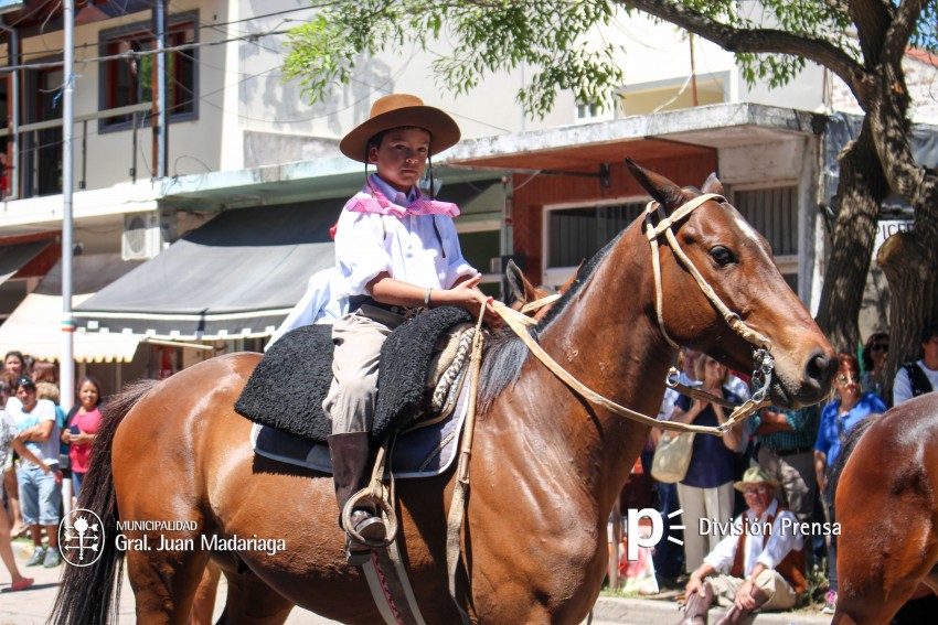 Las mejores fotos del desfile de gala de la Fiesta Nacional del Gaucho