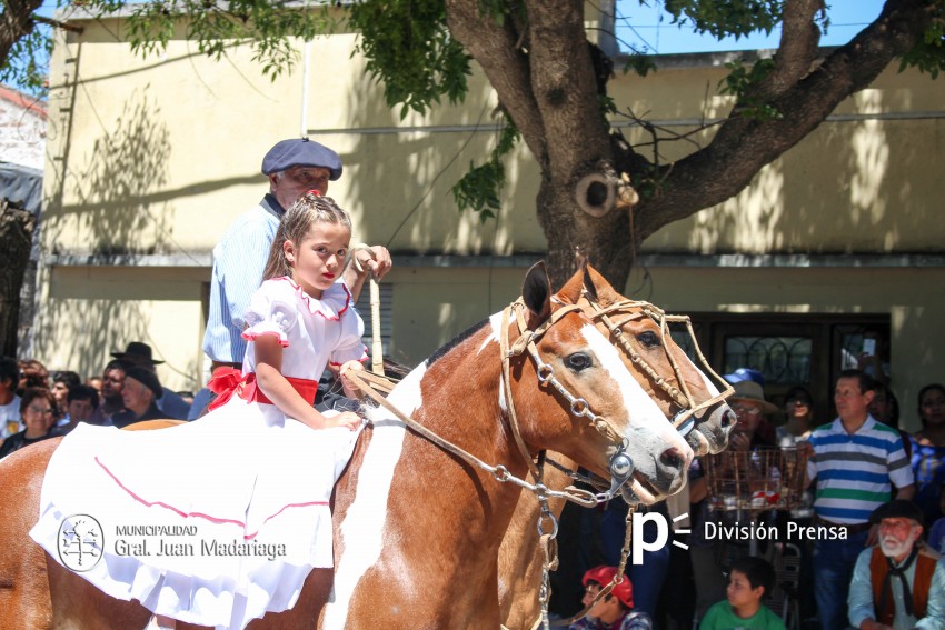 Las mejores fotos del desfile de gala de la Fiesta Nacional del Gaucho