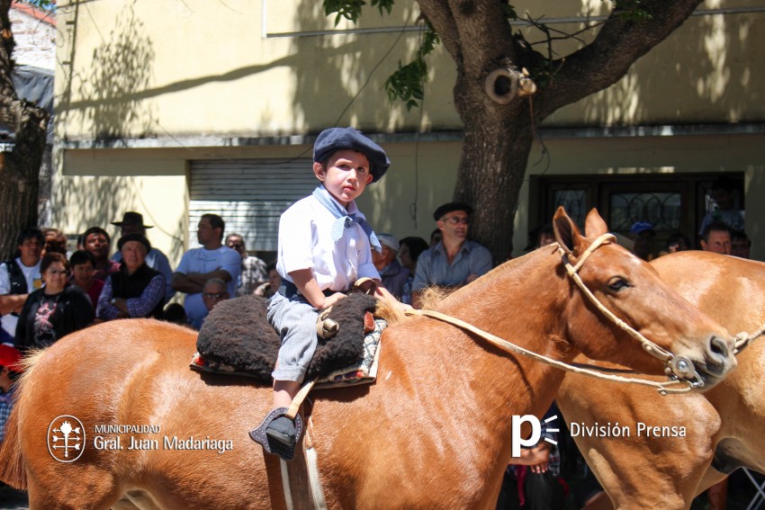 Las mejores fotos del desfile de gala de la Fiesta Nacional del Gaucho