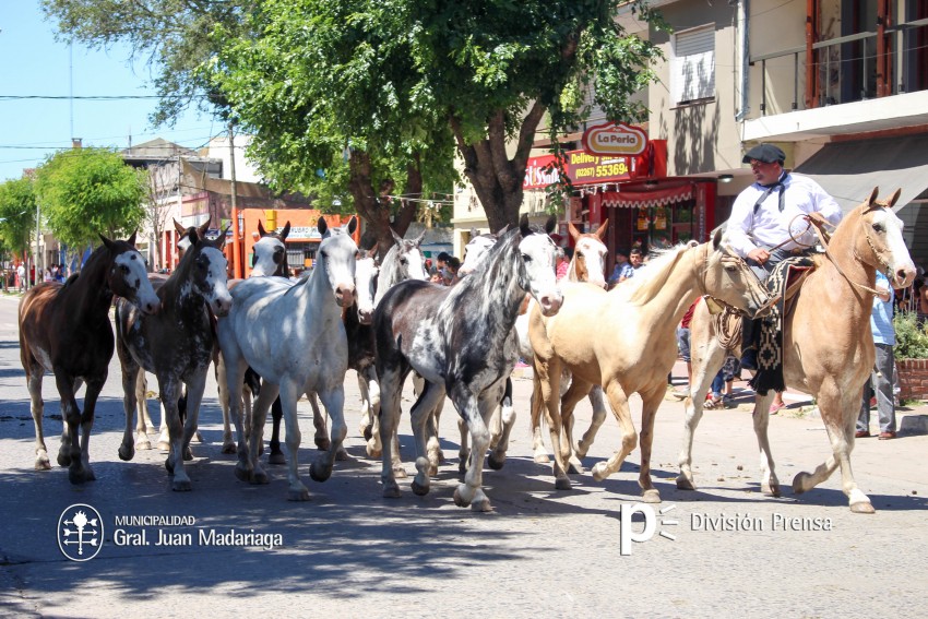 Las mejores fotos del desfile de gala de la Fiesta Nacional del Gaucho