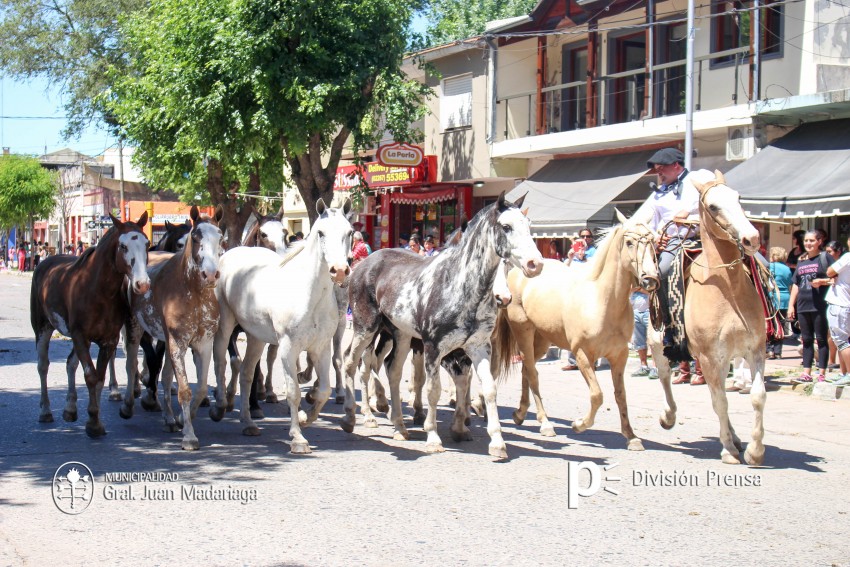 Las mejores fotos del desfile de gala de la Fiesta Nacional del Gaucho