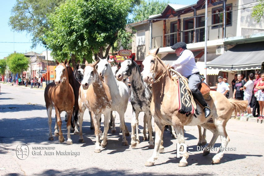 Las mejores fotos del desfile de gala de la Fiesta Nacional del Gaucho