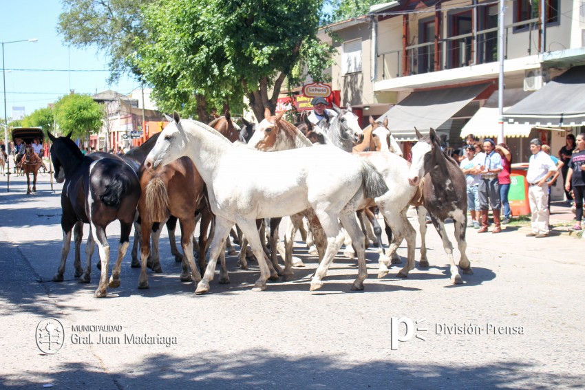 Las mejores fotos del desfile de gala de la Fiesta Nacional del Gaucho