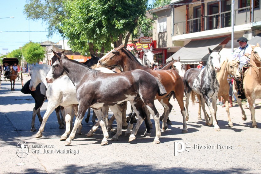 Las mejores fotos del desfile de gala de la Fiesta Nacional del Gaucho