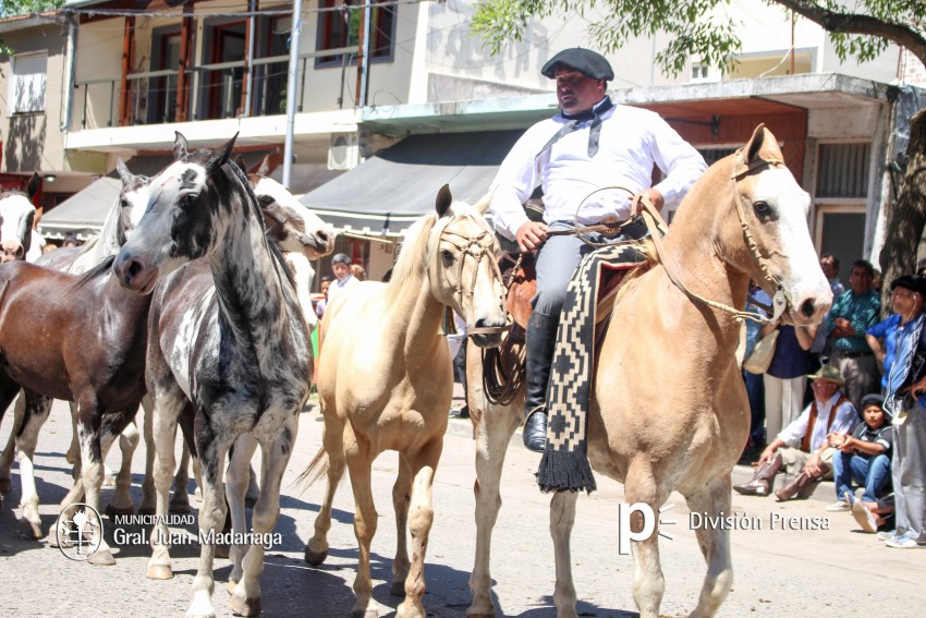 Las mejores fotos del desfile de gala de la Fiesta Nacional del Gaucho
