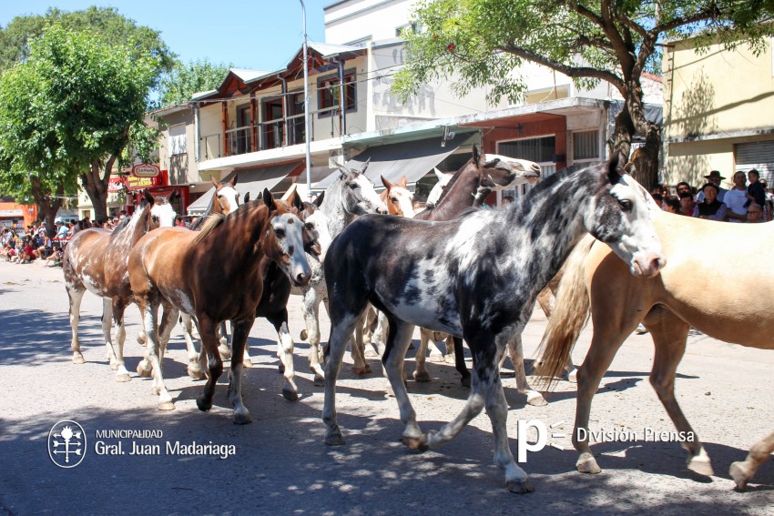 Las mejores fotos del desfile de gala de la Fiesta Nacional del Gaucho