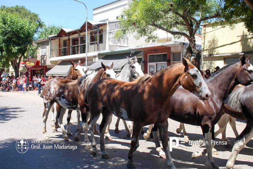 Las mejores fotos del desfile de gala de la Fiesta Nacional del Gaucho