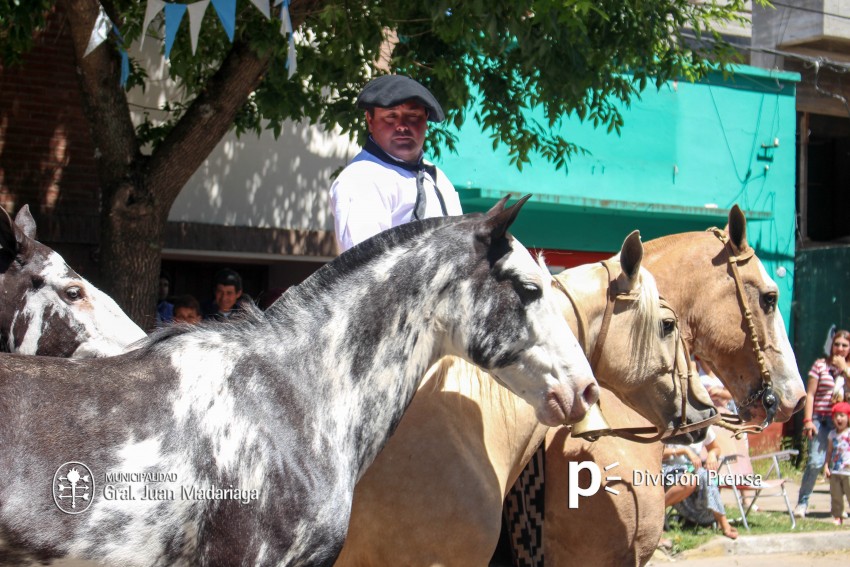 Las mejores fotos del desfile de gala de la Fiesta Nacional del Gaucho