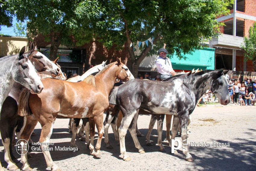 Las mejores fotos del desfile de gala de la Fiesta Nacional del Gaucho