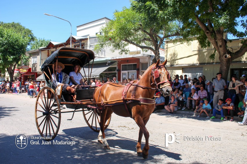 Las mejores fotos del desfile de gala de la Fiesta Nacional del Gaucho
