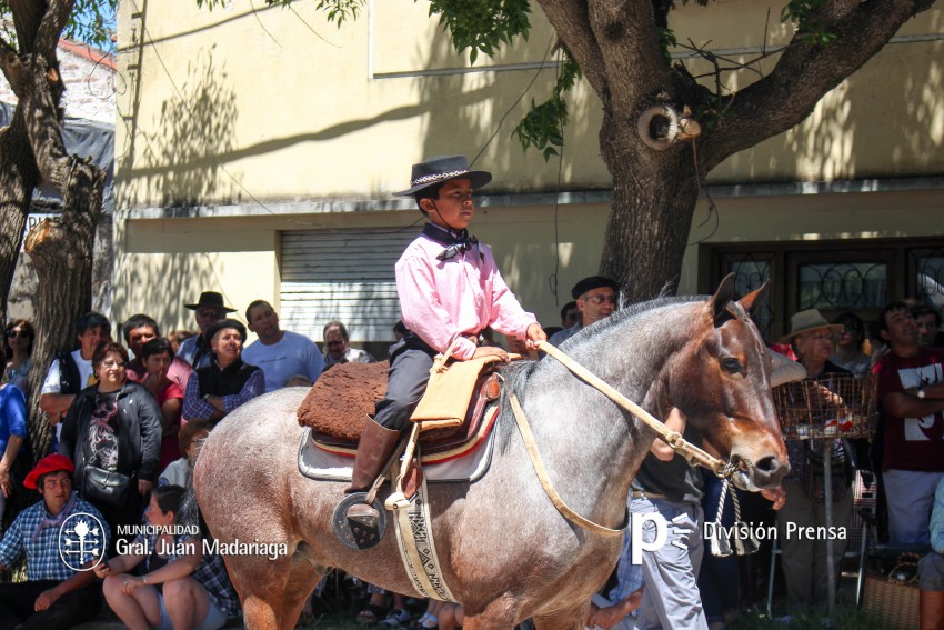 Las mejores fotos del desfile de gala de la Fiesta Nacional del Gaucho