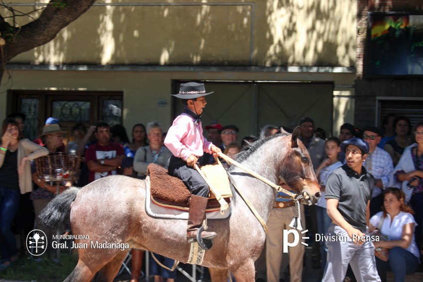 Las mejores fotos del desfile de gala de la Fiesta Nacional del Gaucho
