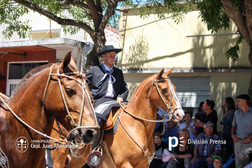 Las mejores fotos del desfile de gala de la Fiesta Nacional del Gaucho