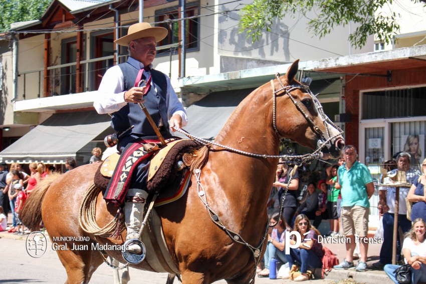 Las mejores fotos del desfile de gala de la Fiesta Nacional del Gaucho