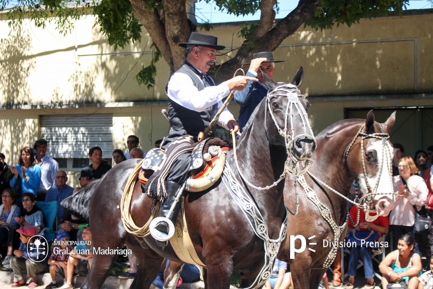 Las mejores fotos del desfile de gala de la Fiesta Nacional del Gaucho