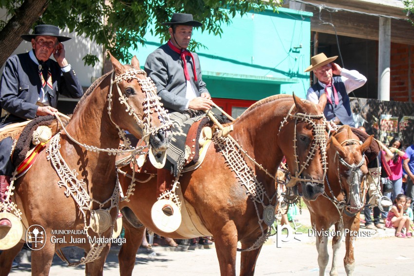 Las mejores fotos del desfile de gala de la Fiesta Nacional del Gaucho