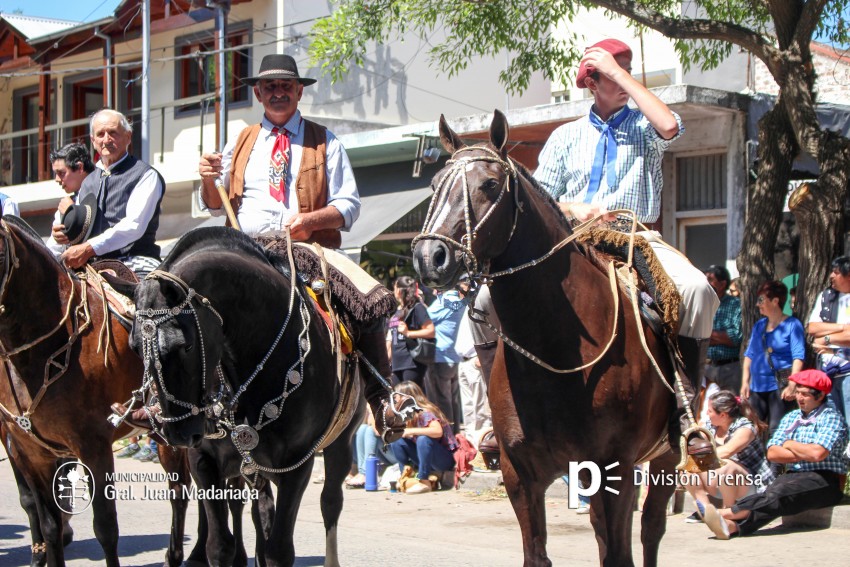 Las mejores fotos del desfile de gala de la Fiesta Nacional del Gaucho