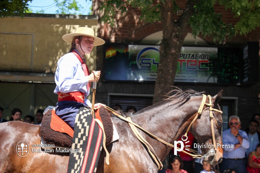 Las mejores fotos del desfile de gala de la Fiesta Nacional del Gaucho