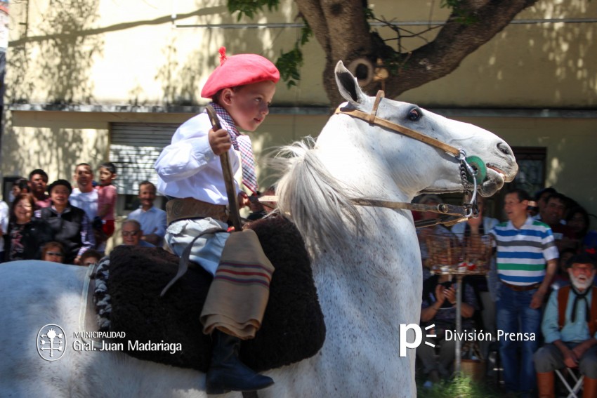 Las mejores fotos del desfile de gala de la Fiesta Nacional del Gaucho