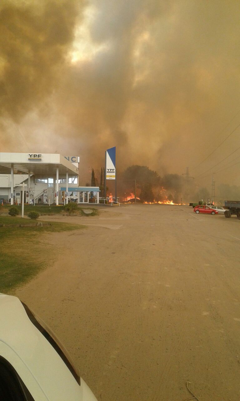 Combaten un incendio de magnitud con fuerzas vivas de toda la zona