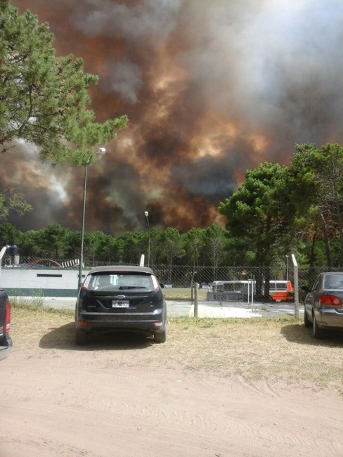 Combaten un incendio de magnitud con fuerzas vivas de toda la zona