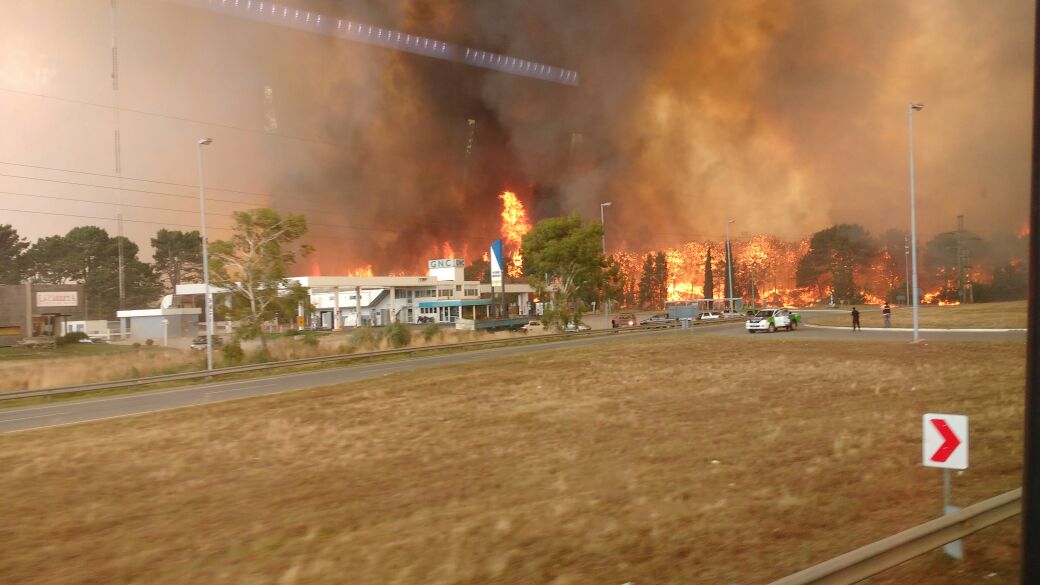 Combaten un incendio de magnitud con fuerzas vivas de toda la zona
