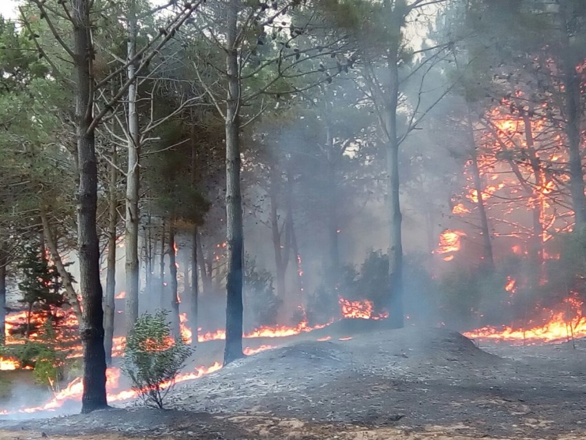 Incendio en el Frente de Ruta - Santoro: Esto es una zona de desastre