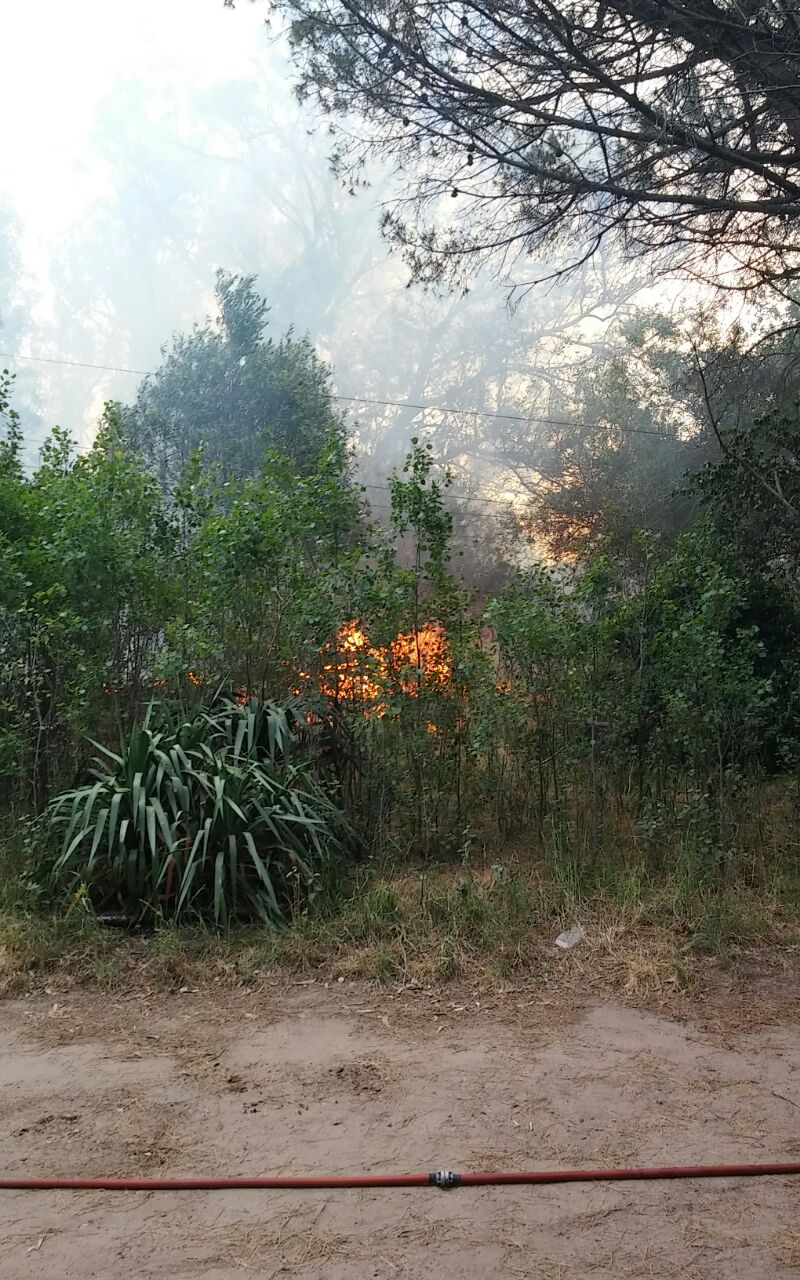 Incendio en el Frente de Ruta - Santoro: Esto es una zona de desastre