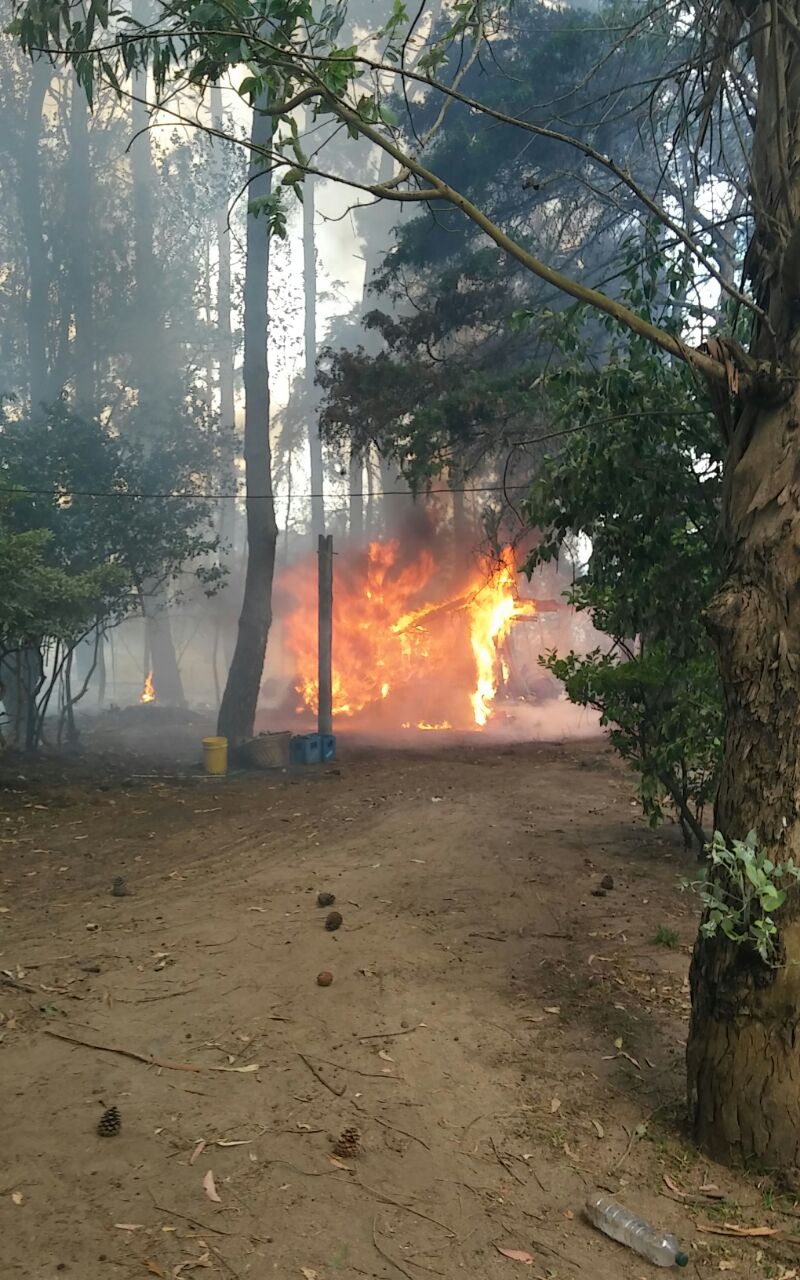 Incendio en el Frente de Ruta - Santoro: Esto es una zona de desastre