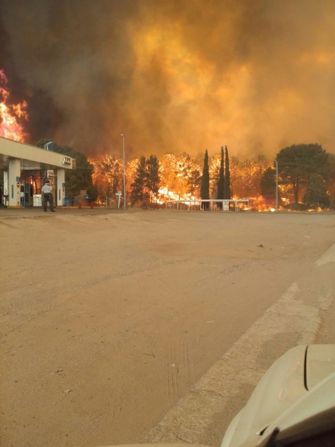 Incendio en el Frente de Ruta - Santoro: Esto es una zona de desastre