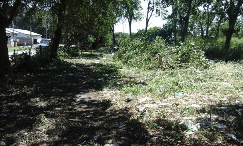 Desmalezamiento y limpieza de terreno