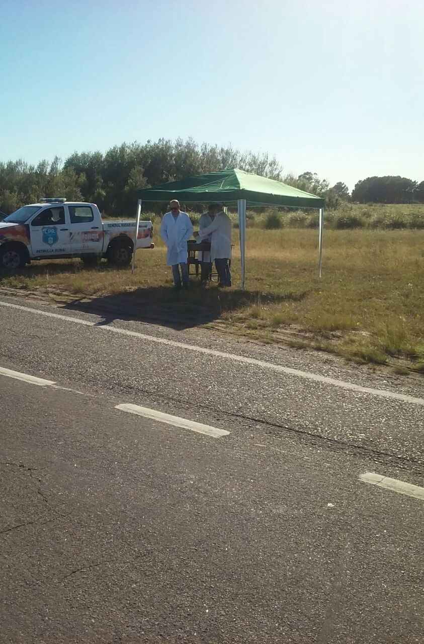 Infraccionaron a un camionero por transportar productos sin la habilit