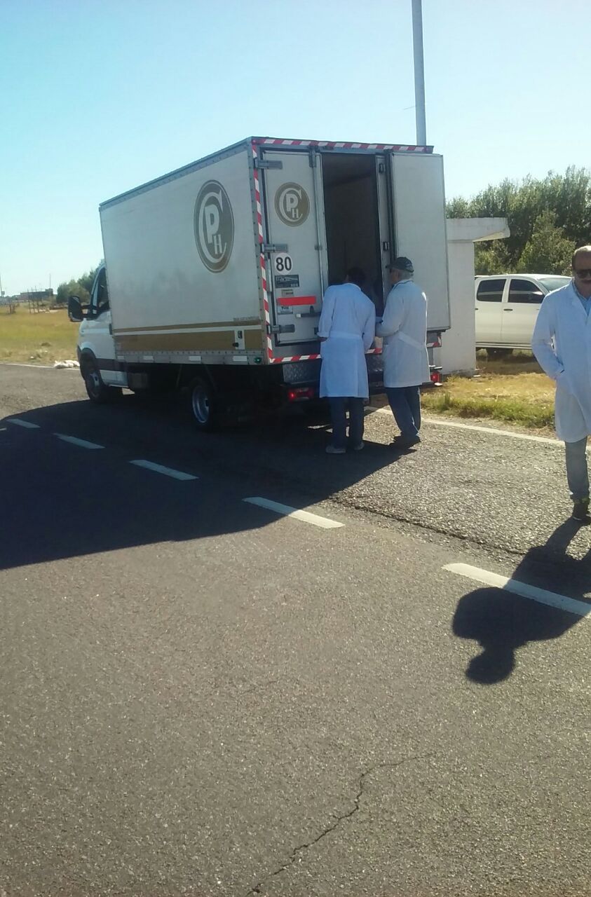 Infraccionaron a un camionero por transportar productos sin la habilit