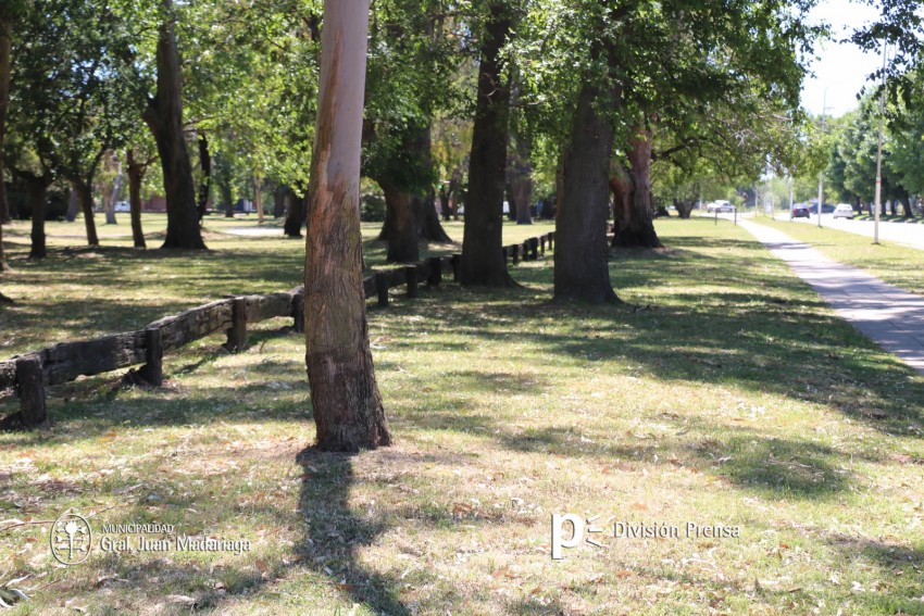 Iniciaron los trabajos para convertir la calle Tala en doble mano