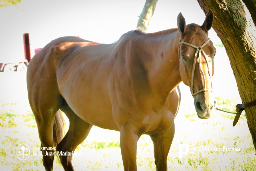 La Invernada: Las mejores fotos del viernes