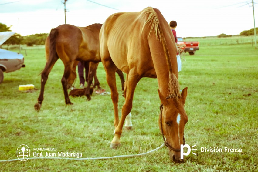 La Invernada: Las mejores fotos del viernes