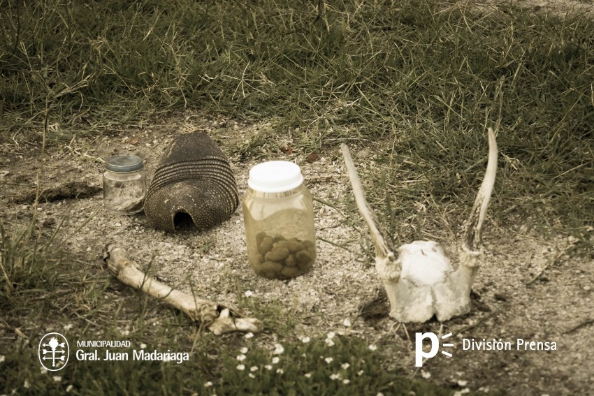 La Invernada: Las mejores fotos del viernes