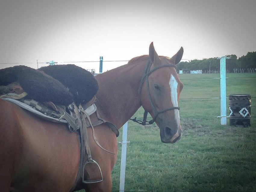 La Invernada convoc a ms de mil personas en su segundo da de activi