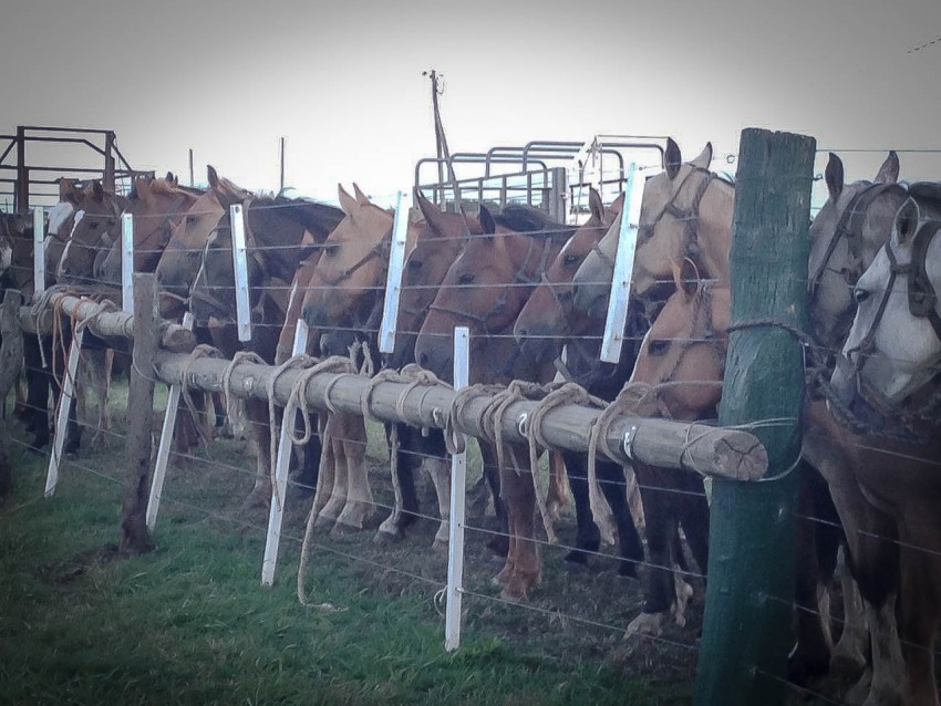La Invernada convoc a ms de mil personas en su segundo da de activi