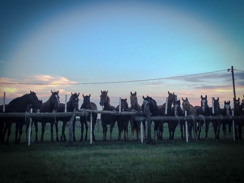 La Invernada convoc a ms de mil personas en su segundo da de activi
