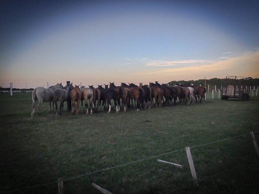 La Invernada convoc a ms de mil personas en su segundo da de activi