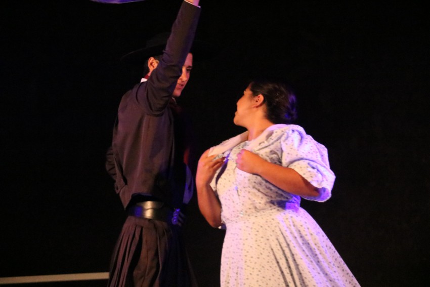 Folclore en los barrios pas por el Martn Fierro