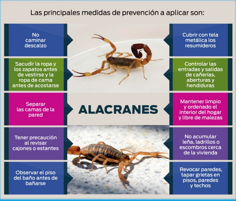 Prevencin ante la aparicin de alacranes