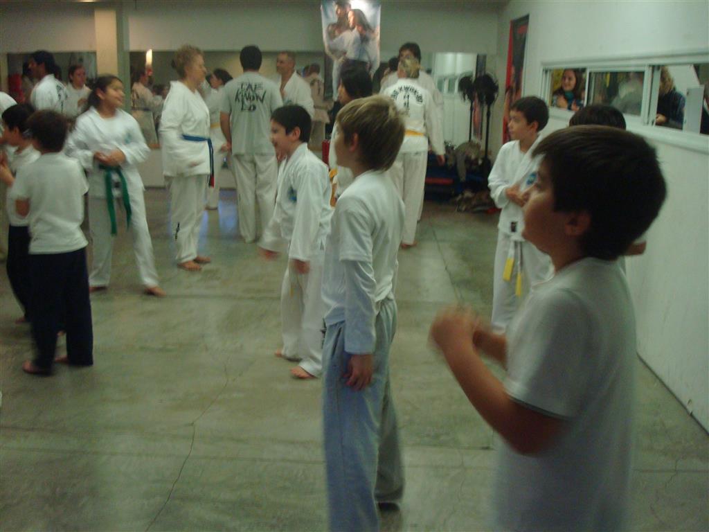 Ctedra de taekwondo